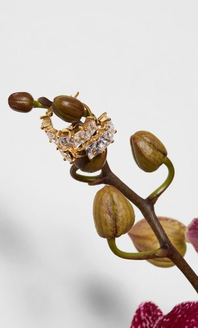 Argolas douradas com zircônias penduradas em galho de orquídea
